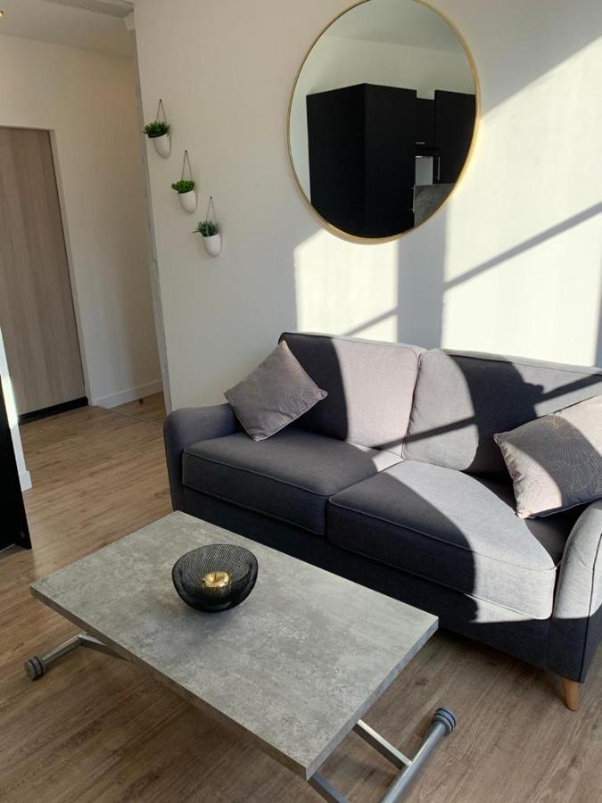 Lumineux Appartement Capitole Plein Centre トゥールーズ エクステリア 写真